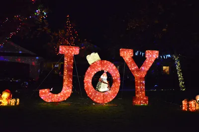 DSC_5774 (Large).JPG